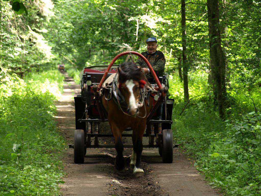 Kwiatowa Zagroda Біловежа Екстер'єр фото